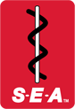 SEA Limited Logo