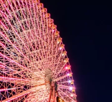 Amusement Ride Failure